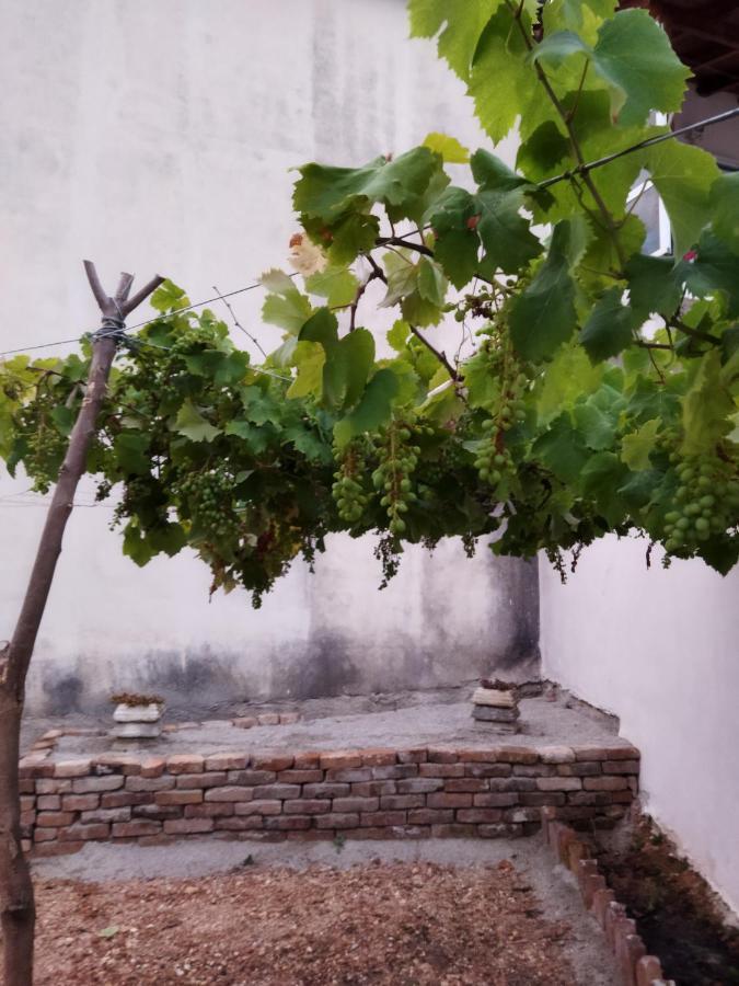 Villa Vista Himare Bagian luar foto